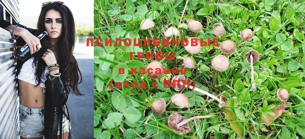 гашиш Михайлов