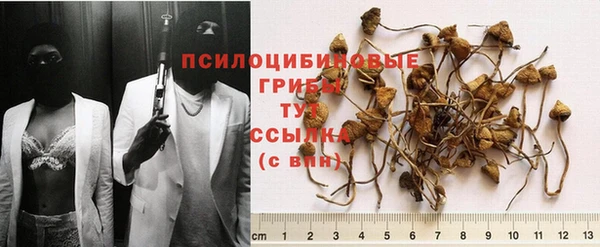 гашик Медвежьегорск