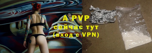 гидра Михайловск